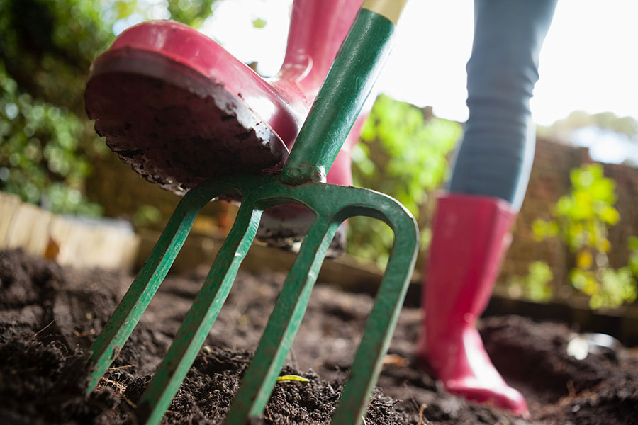 Digging in the garden